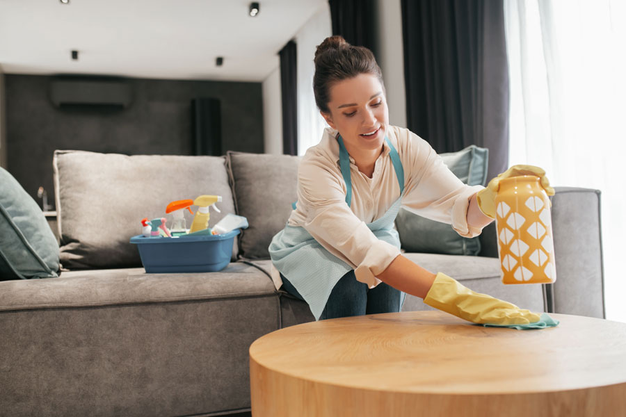 House cleaners hourly rate